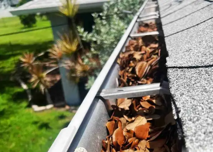 Glendale gutter cleaning home page